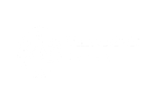 leiden (1)